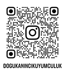 ETBİS - Elektronik Ticaret Bilgi Sistemi